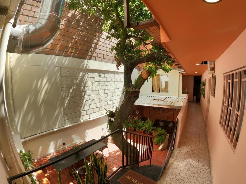 Hostal Casa Primavera Медельин Экстерьер фото